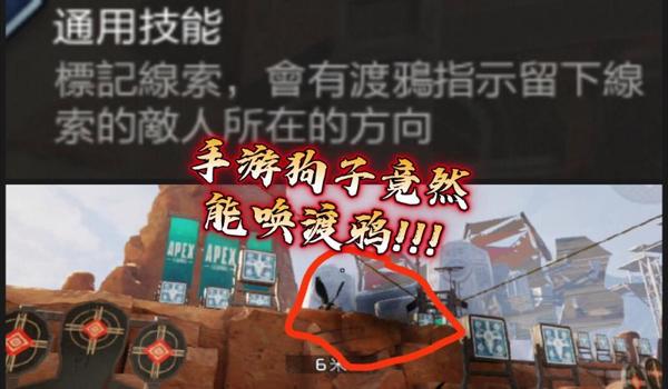 GPS24小时定位去哪里找（靠谱GPS24小时定位怎么获得？）